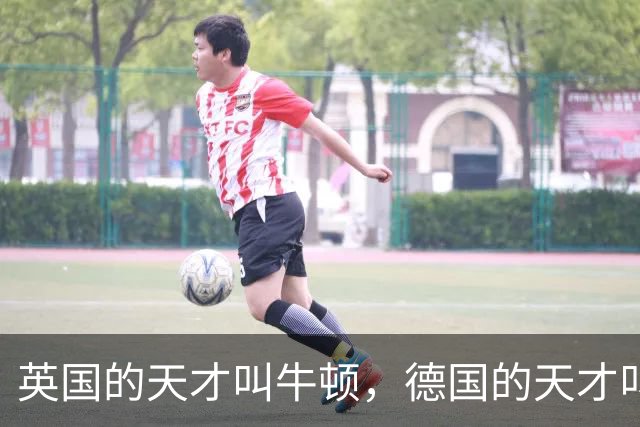 英国的天才叫牛顿，德国的天才叫爱因斯坦，那中国的天才叫什么？