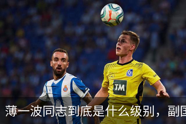 薄一波同志到底是什么级别，副国级？还是正国级？
